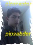 pipsraptor